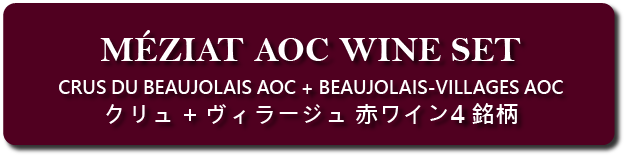 メジア社AOC自然派ワイン 赤ワイン4銘柄セット