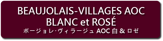 メジア社AOC自然派ワイン ヴィラージュAOC白・ロゼ
