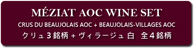 メジア社AOC自然派ワイン 赤ワイン4銘柄セット