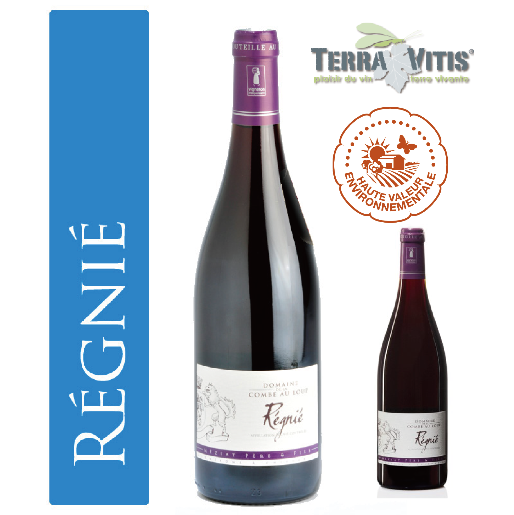 Cignozza 2001 ワイン 3本 Cignozza 2001 ワイン 3本 【公式通販】 Cignozza 2001 ワイン 3本 Cignozza 2001 ワイン 3本 【公式通販】