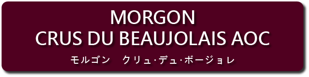 フランス ブルゴーニュ ボジョレー シルーブル クリュ ボージョレ ヴィラージュ ヌーボー メジア社 AOC 自然派ワイン 有機栽培ワインの呼称のみを目的とせずビオダイバシティを追求 テラ・ヴィティス認定 HVE フランス政府 最高水準環境価値認証 フランス航空に選ばれ続ける伝統のワイナリー